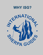 ISG logo